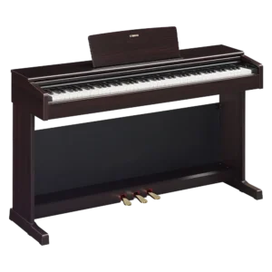 YAMAHA YDP145
